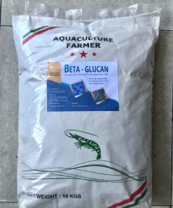 BETA GLUCAN TĂNG CƯỜNG MIỄN DỊCH