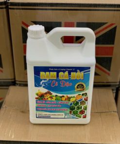 ĐẠM CÁ HỒI  KÍCH RỄ  TÂM CHỔI  XANH LÁ  MẬP THẬN GIẢM RỤNG TRÁI LỚN TRÁI