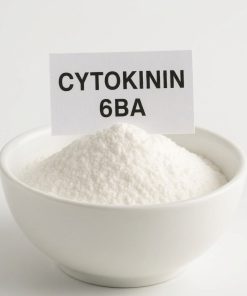 CYTOKYNIN 6BA