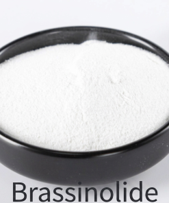 BRASSINOLIDE